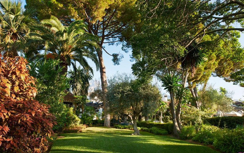 THESE streets on Spain’s Costa del Sol are having €100,000 worth of new trees planted